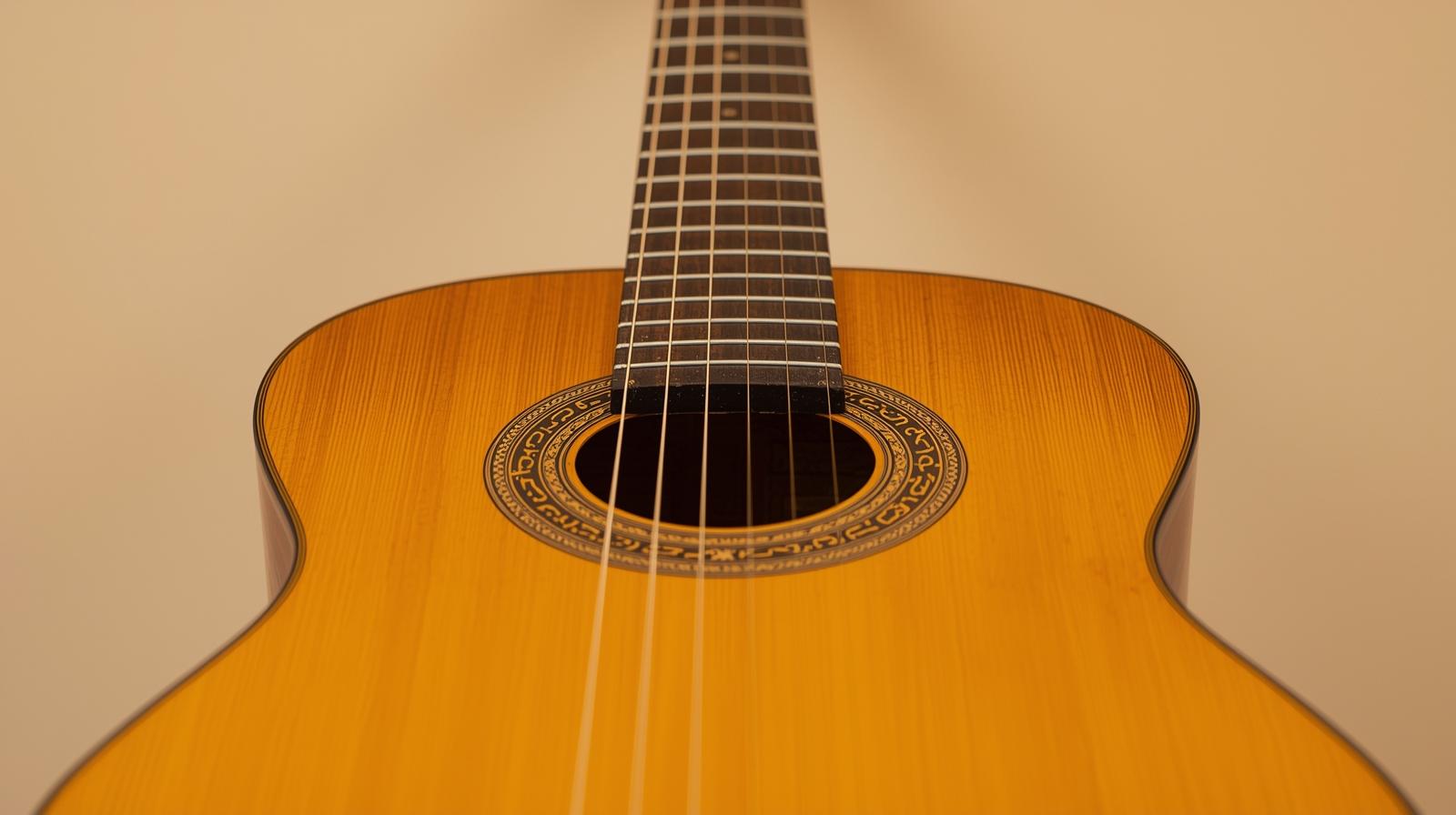 クラシックギターの美しい正面写真 - ナイロン弦とローズウッドの指板、エレガントなボディライン を100%幅で縦配置